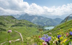 Ausflug auf das Nebelhorn