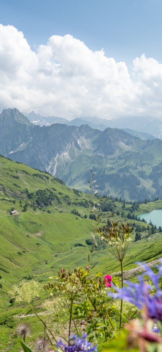 Ausflug auf das Nebelhorn