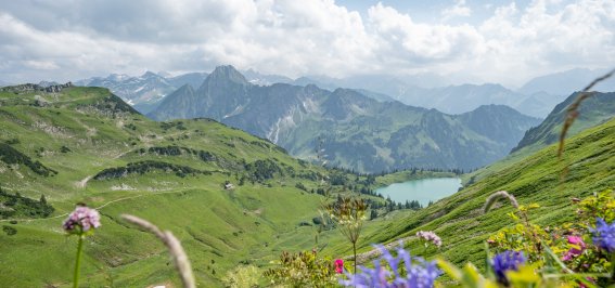 Ausflug auf das Nebelhorn