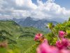 Ausflug auf das Nebelhorn