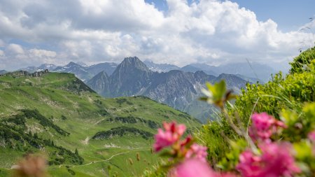 Ausflug auf das Nebelhorn