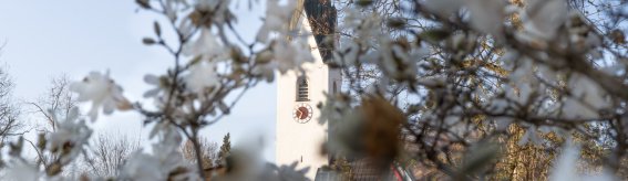 27.04. Moorweiher und Ort-022