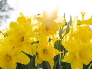 27.04. Moorweiher und Ort-023