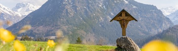 27.04. Moorweiher und Ort-007