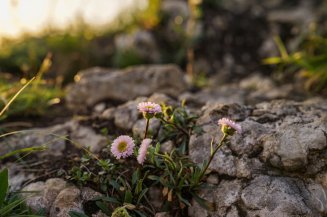 Sonnenuntergang Besler Obermaiselstein-16