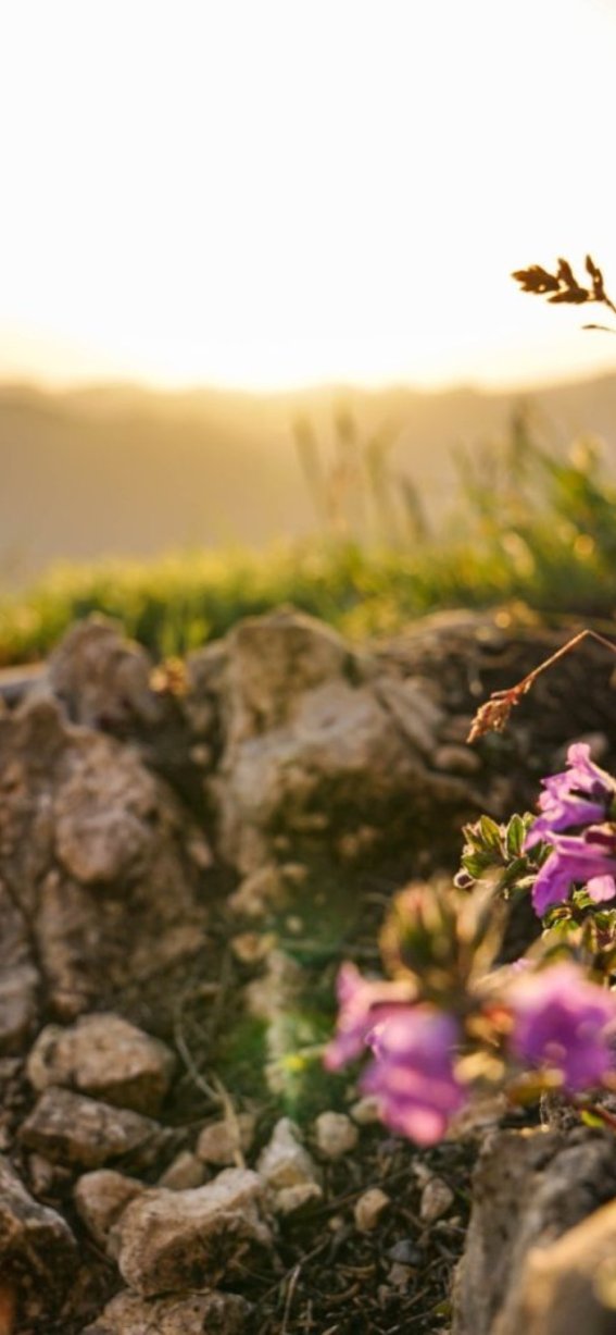 Sonnenuntergang Besler Obermaiselstein-18