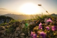 Sonnenuntergang Besler Obermaiselstein-19