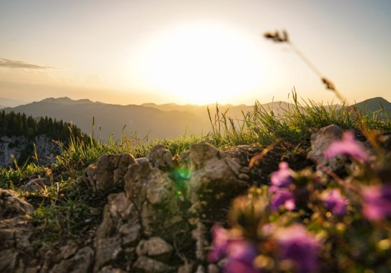 Sonnenuntergang Besler Obermaiselstein-19