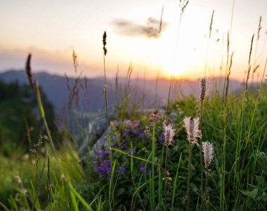 Sonnenuntergang Besler Obermaiselstein-33