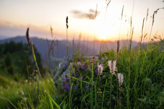 Sonnenuntergang Besler Obermaiselstein-33