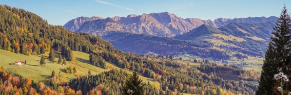 Herbst in der Starzlachklamm-40