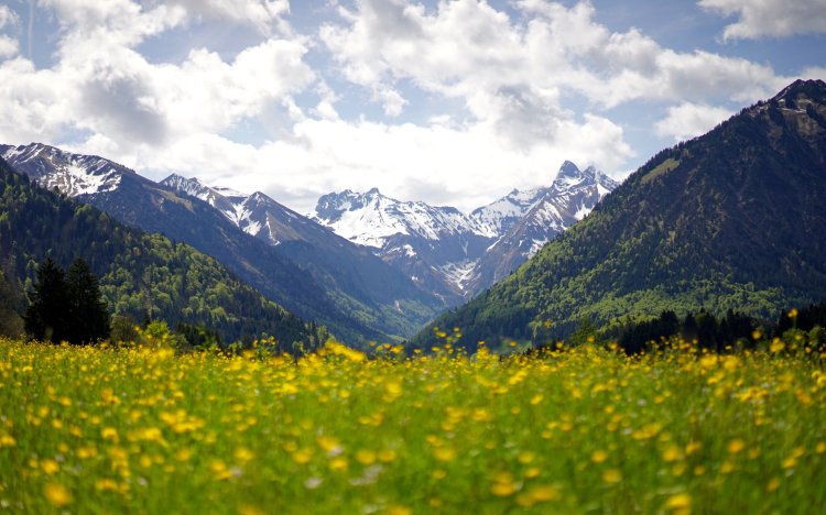 Frühlingswiese am Kühberg