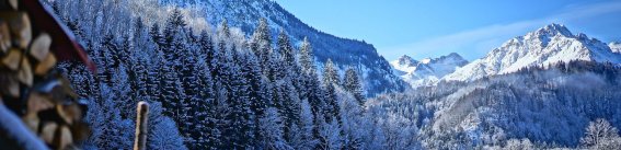 Am Öschlesweg mit Kegelkopf