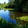 Moorweiher