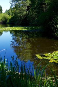Moorweiher