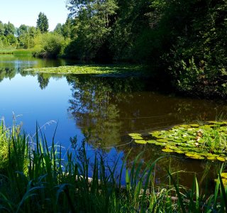 Moorweiher