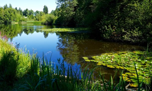 Moorweiher