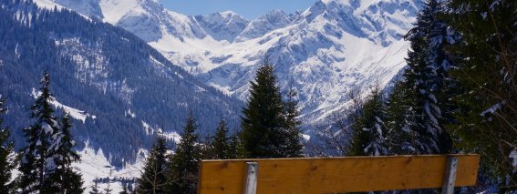 Blick ins verschneite Wildental