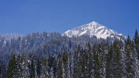 Blick zum Walmendingerhorn