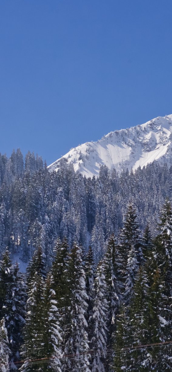 Blick zum Walmendingerhorn