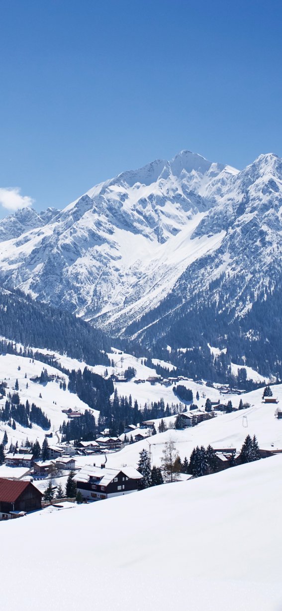 Blick auf Hirschegg