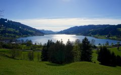 Großer Alpsee im Frühling