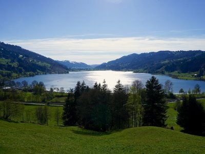 Großer Alpsee im Frühling