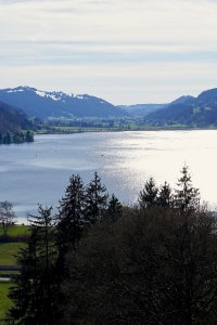 Großer Alpsee im Frühling