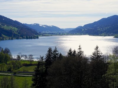 Großer Alpsee im Frühling