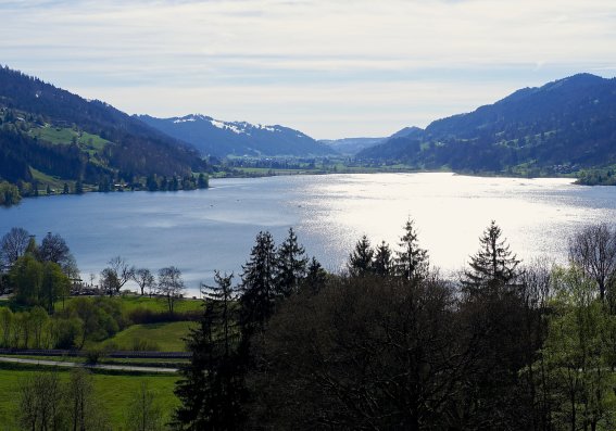 Großer Alpsee im Frühling