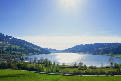 Großer Alpsee