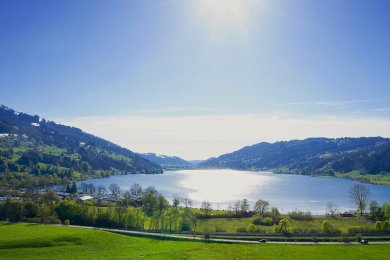 Großer Alpsee