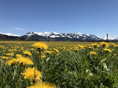 Blick auf den Alpenhauptkamm