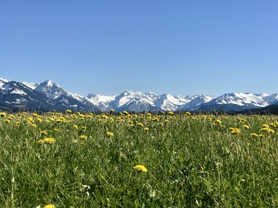 Der Ausblick von Burgberg auf die Oberstdorfer Berge