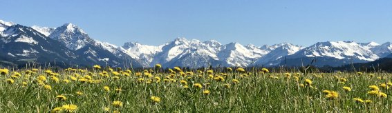 Blick von Burgberg auf Berge Oberstdorf