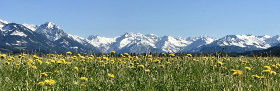 Der Ausblick von Burgberg auf die Oberstdorfer Berge