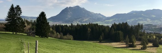 Der Wächter des Allgäus.