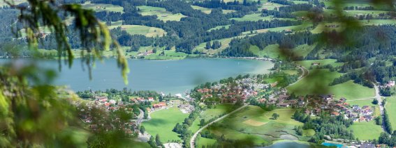 Blick auf den großen und kleinen Alpsee