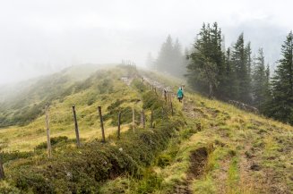 2017-08-12 Riedbergerhorn-011-3000