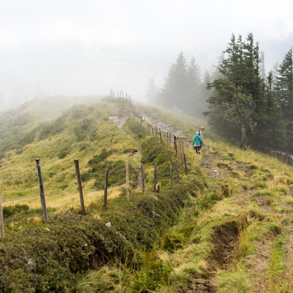 2017-08-12 Riedbergerhorn-011-3000