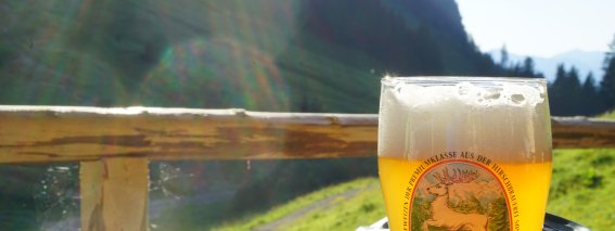 Radler bei der Dietersbachalpe