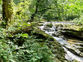 2017-08-20 Steineberg-039-3000
