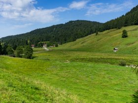2017-08-26 Südallgäu Runde-001-3000