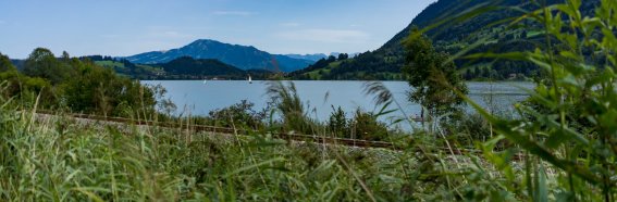 Blick über den Alpsee auf den Grünten