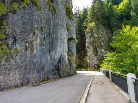 Hirschsprung