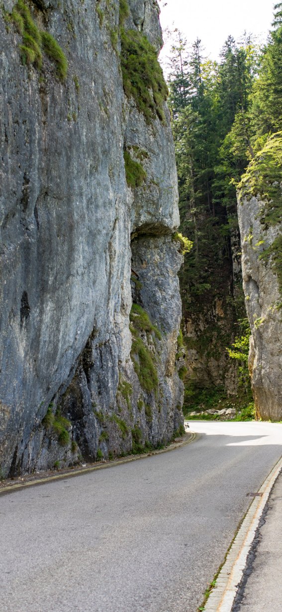 Hirschsprung
