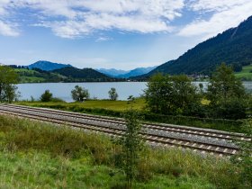 Blick über den Alpsee