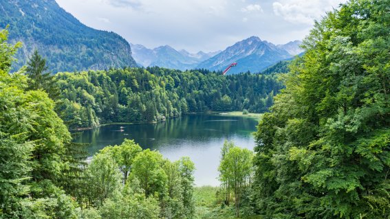 Freibergsee im Hintergrund die Skiflugschanze