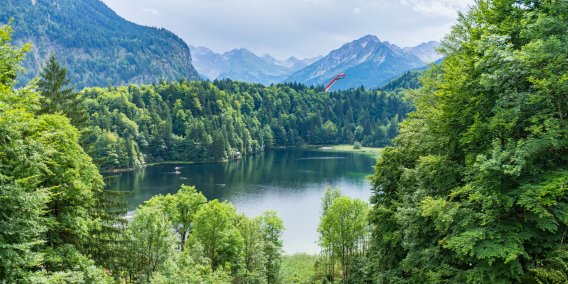 Freibergsee im Hintergrund die Skiflugschanze