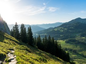 2017-08-29 Besler-011-3000